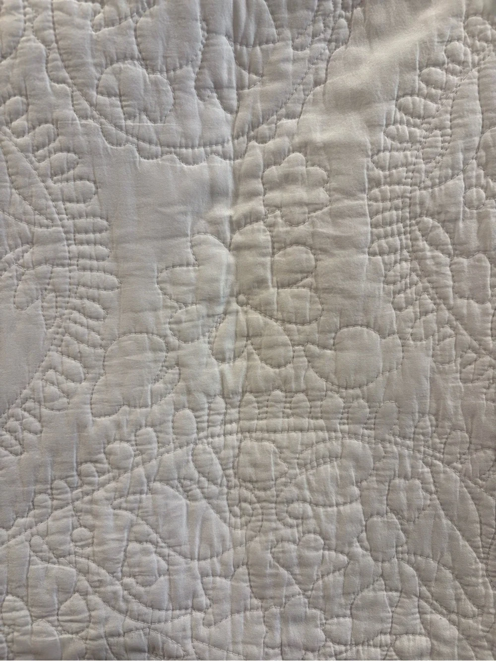 (2) Threshold pillow shams